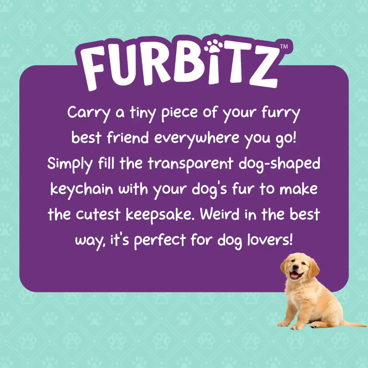 Furbitz  - Golden Retriever & Labrador Fur Keepsake Keychain