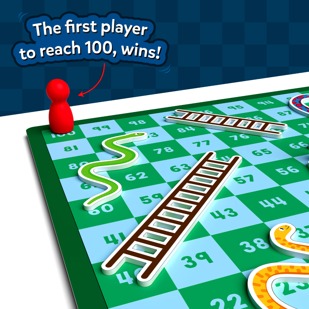 Snakes & Ladders