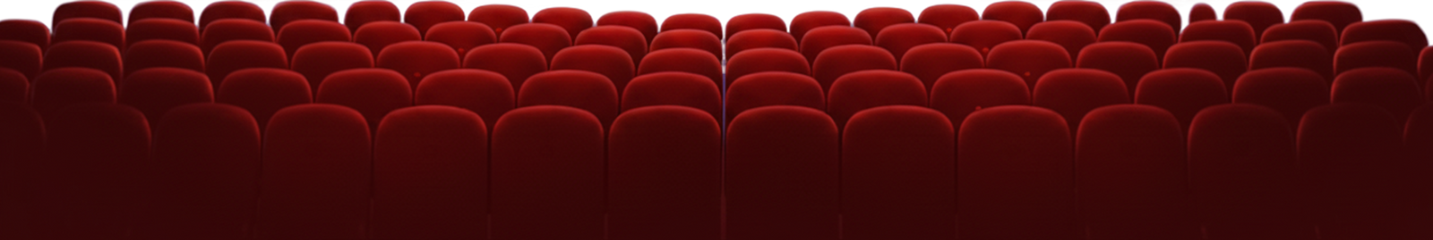 Promotional Banner